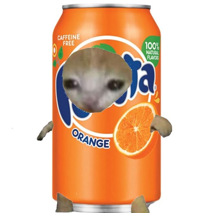 orangecat fanta