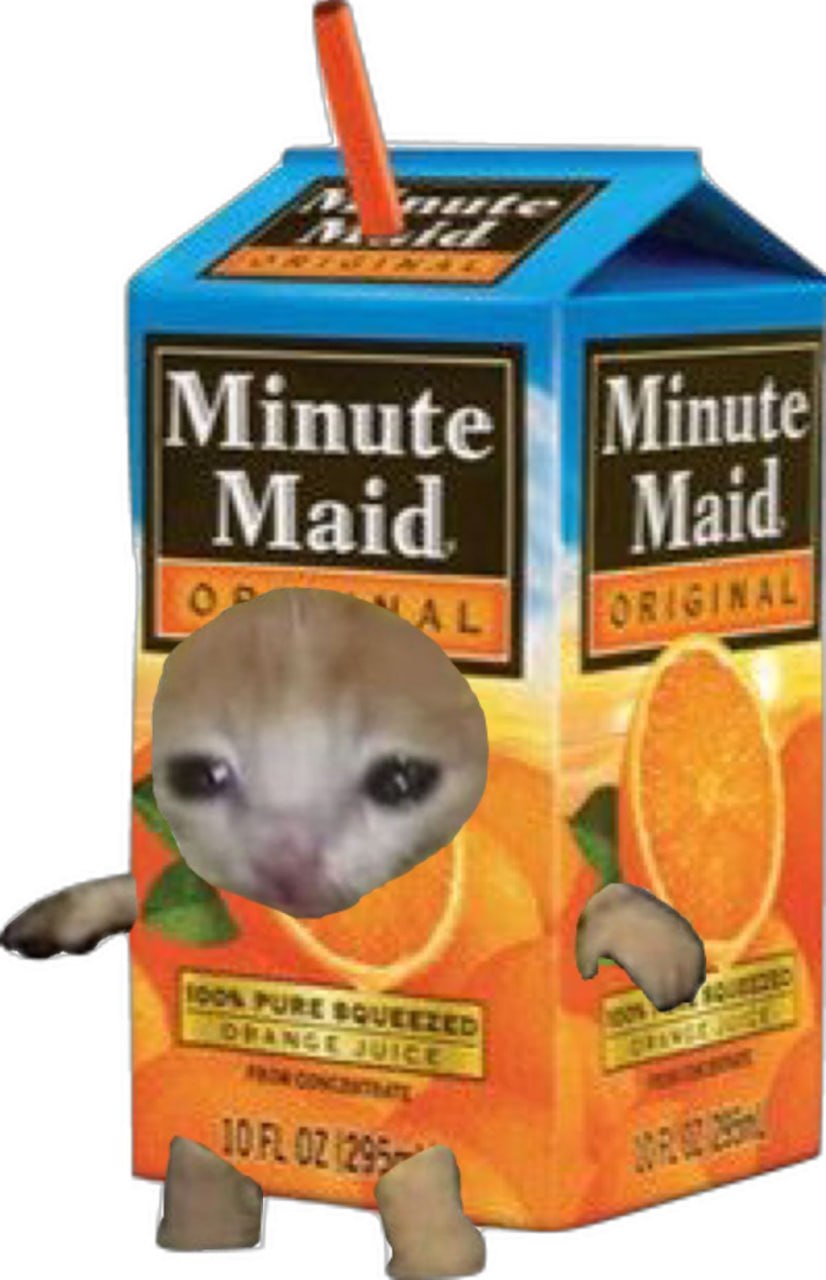 orangecat minute maid