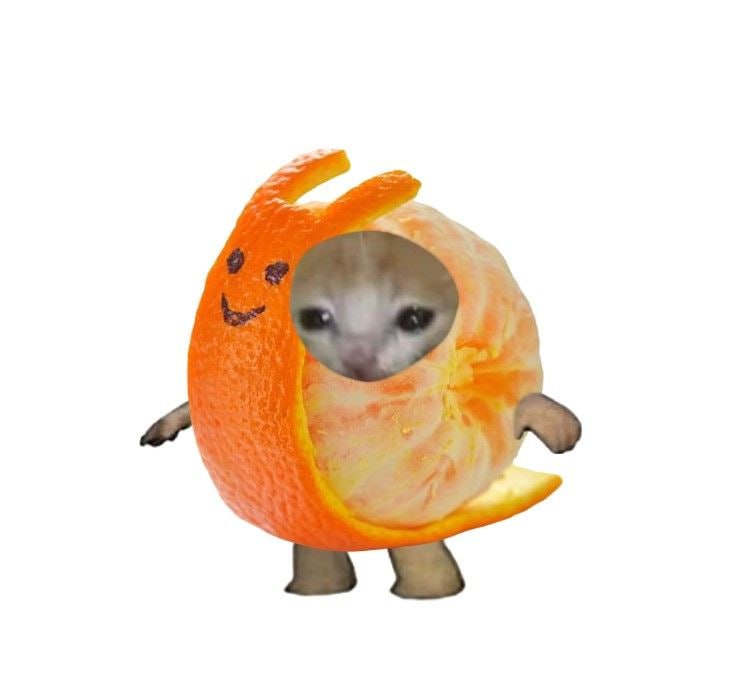 half peeled orangecat