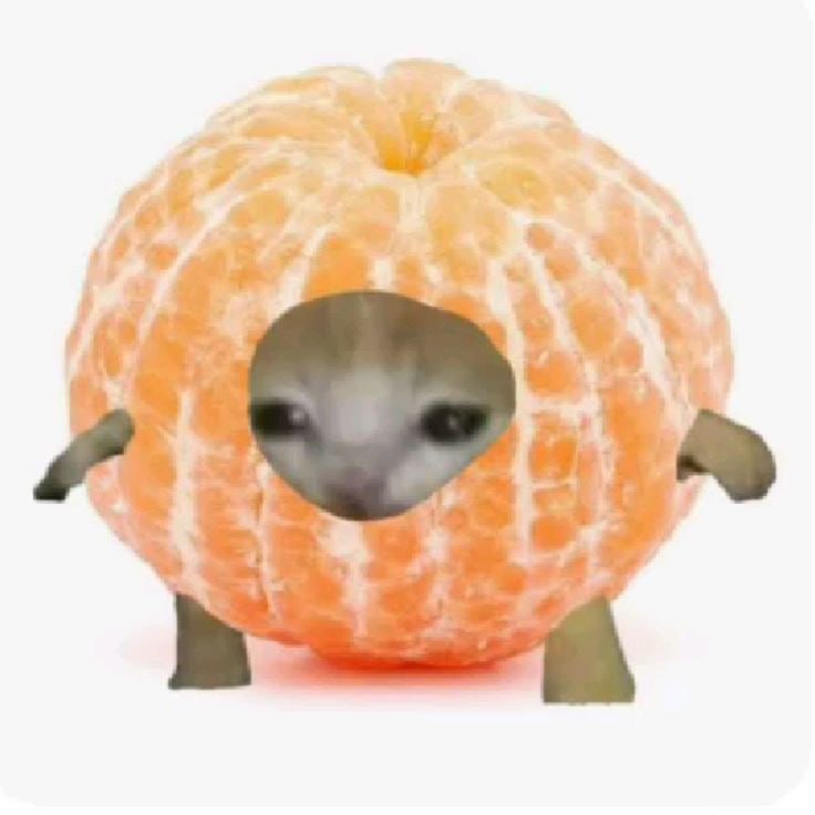 peeled orangecat