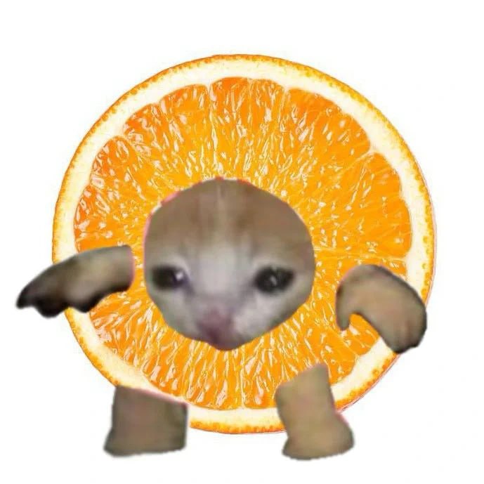 orangecat slice
